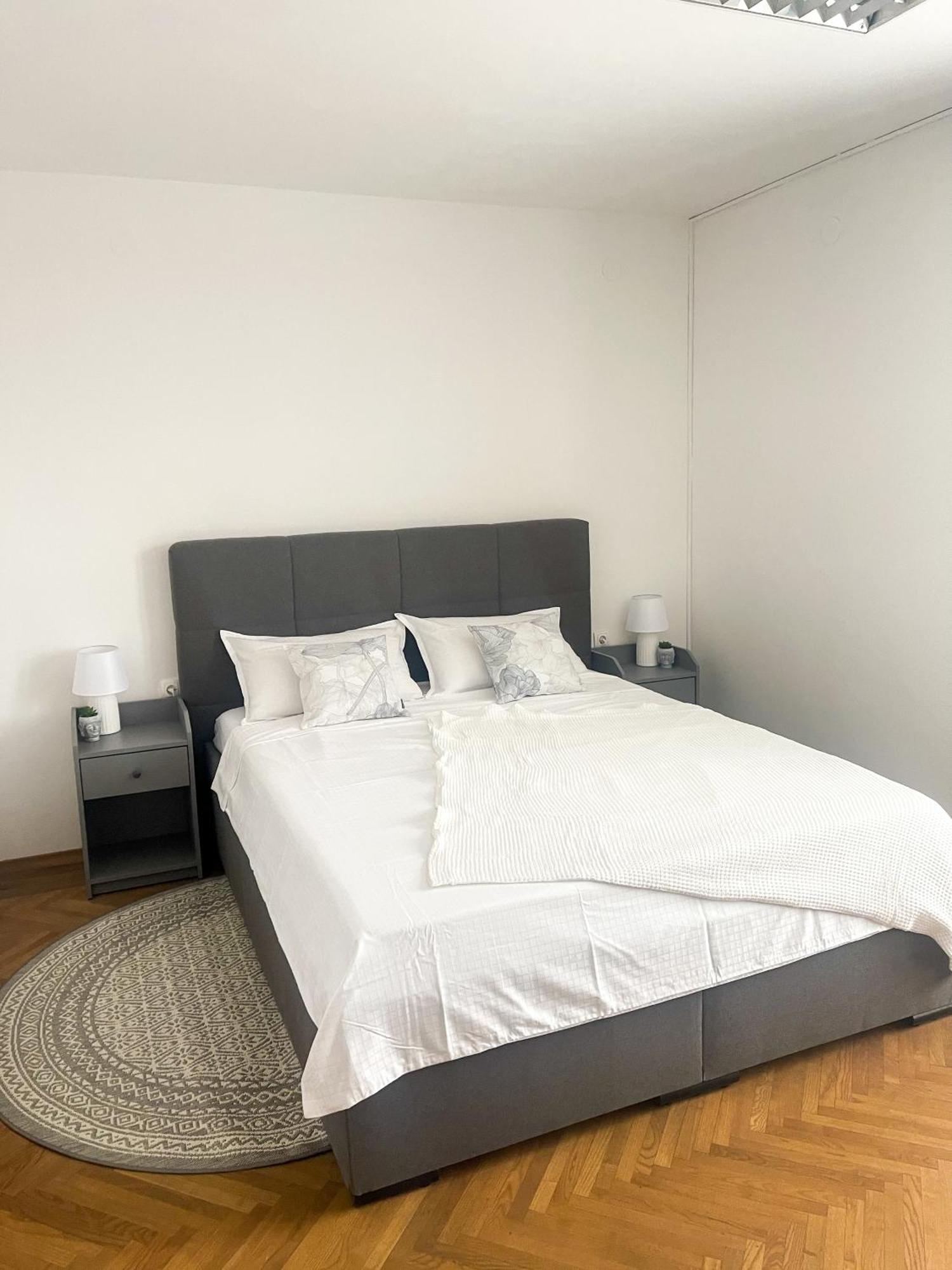 Spacious Cozy Ljubljana